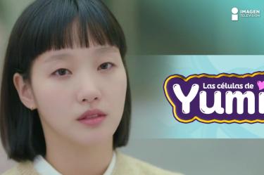 Yumi's cellular world is turned upside down after a breakup! Heartbreak and confusion lead to a chaotic chain of emotional reactions, affecting everyone around. Can Yumi and her cells find a way to heal and move forward?<br /><br />Join us as Yumi navigates the difficult aftermath of a breakup. Witness the dramatic shifts in emotions and the struggle to cope with loneliness. Discover how past experiences shape present decisions and the surprising ways cells try to manage overwhelming feelings.<br /><br />Explore themes of self-care, relationship struggles, and the importance of self-reflection. This episode delves into Yumi's journey of rediscovery and the lessons she learns about love and loss.<br /><br />#YumiCells #Breakup #EmotionalChaos