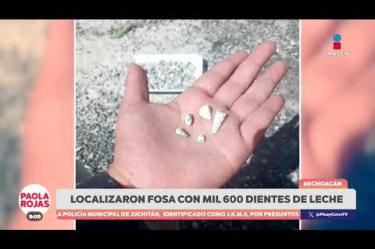 En Michoacán, madres buscadoras localizaron más de mil dientes de leche durante una búsqueda en una fosa clandestina.