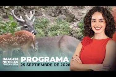 No te pierdas Imagen Noticias Guadalajara con Carolina Martínez de lunes a viernes en punto de las 2:30 p.m. en el 3.1 por Imagen Televisión Guadalajara.
#NoticiasImagen
Síguenos en nuestras redes:
Instagram: https://www.instagram.com/imagentvgdl/
TikTok: https://www.tiktok.com/@imagennoticias
Twitter: https://twitter.com/ImagenTVGDL
Facebook: https://www.facebook.com/ImagenTVGDL/
Visita nuestro sitio Web: https://www.imagentv.com/guadalajara
Mantente siempre informado con las noticias sobre los acontecimientos más importantes a nivel nacional con Erick Breguer, Carolina Martínez y Ricardo Camarena.
¡Déjanos tus comentarios, da like, comparte y suscríbete!