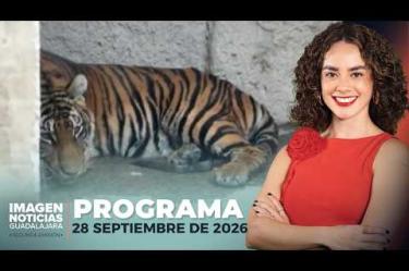 No te pierdas Imagen Noticias Guadalajara con Carolina Martínez de lunes a viernes en punto de las 2:30 p.m. en el 3.1 por Imagen Televisión Guadalajara.
#NoticiasImagen
Síguenos en nuestras redes:
Instagram: https://www.instagram.com/imagentvgdl/
TikTok: https://www.tiktok.com/@imagennoticias
Twitter: https://twitter.com/ImagenTVGDL
Facebook: https://www.facebook.com/ImagenTVGDL/
Visita nuestro sitio Web: https://www.imagentv.com/guadalajara
Mantente siempre informado con las noticias sobre los acontecimientos más importantes a nivel nacional con Erick Breguer, Carolina Martínez y Ricardo Camarena.
¡Déjanos tus comentarios, da like, comparte y suscríbete!
