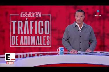 No te pierdas Imagen Noticias con Francisco Zea de lunes a viernes en punto de las 6:30 am por Imagen Televisión.
