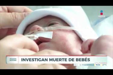 La Secretaría de Salud Jalisco indaga la denuncia por el fallecimiento de dos recién nacidos presuntamente asociado a la bacteria #Klebsiella en la Unidad de Cuidados Intensivos Neonatales del Centro Médico Nacional de Occidente del IMSS, en #Guadalajara.
#NoticiasImagen
Síguenos en nuestras redes:
Instagram: https://www.instagram.com/imagentvgdl/
TikTok: https://www.tiktok.com/@imagennoticias
Twitter: https://twitter.com/ImagenTVGDL
Facebook: https://www.facebook.com/ImagenTVGDL/
Visita nuestro sitio Web: https://www.imagentv.com/guadalajara
Mantente siempre informado con las noticias sobre los acontecimientos más importantes a nivel nacional con Carolina Martínez.
¡Déjanos tus comentarios, da like, comparte y suscríbete!