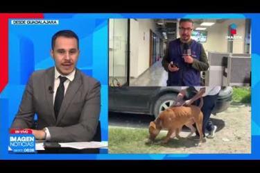 A dos meses de haber sido atacada por un perro pitbull en la Col. Agua Fría, en #Zapopan, la Sra. María Guadalupe Gutiérrez Cruz, de 67 años, permanece internada en el Centro Médico de Occidente tras someterse a 13 cirugías, la más reciente consistente en un injerto de piel de su abdomen hacia el brazo izquierdo.
#NoticiasImagen
Síguenos en nuestras redes:
Instagram: https://www.instagram.com/imagentvgdl/
TikTok: https://www.tiktok.com/@imagennoticias
Twitter: https://twitter.com/ImagenTVGDL
Facebook: https://www.facebook.com/ImagenTVGDL/
Visita nuestro sitio Web: https://www.imagentv.com/guadalajara
Mantente siempre informado con las noticias sobre los acontecimientos más importantes a nivel nacional con Erick Breguer.
¡Déjanos tus comentarios, da like, comparte y suscríbete!