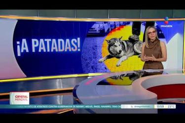 Vecinos exigen que se investigue el caso y se castigue al responsable de la muerte de este animalito.