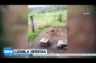 En la comunidad de La Curva, #Nayarit, la Fiscalía localizó un centro de exterminio utilizado por el crimen organizado. Durante el procesamiento del lugar se aseguraron restos óseos calcinados, ropa, calzado y una fosa clandestina.
#LoDijoZea #NoticiasImagen