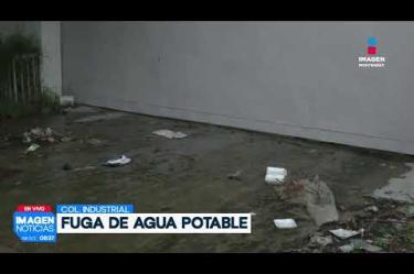 Reportan fuerte fuga de agua en la Col. Industrial en Monterrey.
No te pierdas Imagen Noticias Monterrey con Brenda Cavazos de lunes a viernes por Imagen Televisión Monterrey.
Síguenos en nuestras redes
Instagram: https://www.instagram.com/imagentvmonterrey/
Twitter: https://twitter.com/ImagenTVMTY
Facebook: https://www.facebook.com/ImagenTVMTY/
Mantente siempre informado con las noticias sobre los acontecimientos más importantes a nivel nacional con Claudia Ovalle y Brenda Cavazos.
¡Dale like y suscríbete!