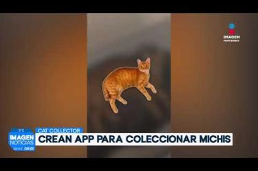 Crean aplicación para coleccionar gatitos alrededor del mundo en tu celular. 

No te pierdas Imagen Noticias Monterrey con Brenda Cavazos de lunes a viernes por Imagen Televisión Monterrey.

Síguenos en nuestras redes
Instagram: https://www.instagram.com/imagentvmonterrey/
Twitter: https://twitter.com/ImagenTVMTY
Facebook: https://www.facebook.com/ImagenTVMTY/

Mantente siempre informado con las noticias sobre los acontecimientos más importantes a nivel nacional con Claudia Ovalle y Brenda Cavazos.


¡Dale like y suscríbete!