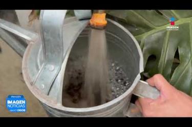 El director del #SIAPA, explicó que el deterioro en la calidad del agua en la Zona Metropolitana de #Guadalajara se debe a un problema histórico de más de dos décadas, agravado por el crecimiento urbano y las descargas residuales difusas.