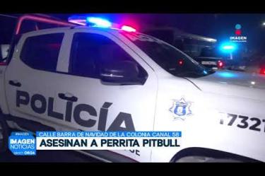 Un sujeto atacó y mató a puñaladas a una perrita de raza Pitbull sobre la calle Barra de Navidad, en la Col. Canal 58 de San Pedro #Tlaquepaque.
#NoticiasImagen
Síguenos en nuestras redes:
Instagram: https://www.instagram.com/imagentvgdl/
TikTok: https://www.tiktok.com/@imagennoticias
Twitter: https://twitter.com/ImagenTVGDL
Facebook: https://www.facebook.com/ImagenTVGDL/
Visita nuestro sitio Web: https://www.imagentv.com/guadalajara
Mantente siempre informado con las noticias sobre los acontecimientos más importantes a nivel nacional con Erick Breguer.
¡Déjanos tus comentarios, da like, comparte y suscríbete!