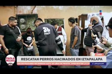 Autoridades rescataron a decenas de perros que vivían hacinados en una casa de Iztapalapa, luego de que vecinos denunciaran las condiciones en las que se encontraban.