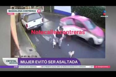 Tras saltar del auto, la víctima se paró rápidamente y tras apoyarse en un señor que paseaba a sus perros, gritó que el chofer la había amenazado con un cuchillo.