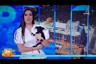 El tiempo pasa, las historias cambian y la noticia nunca se detiene. En Imagen Televisión cumplimos 10 años de transmisiones en vivo, de informar desde el lugar de los hechos y de acompañarlo día con día.

#10AñosCumpliendoContigo

#NoticiasImagen #ImagenNoticias530 

Visita nuestro sitio web: http://www.imagentv.com 

No te pierdas Imagen Noticias 5:30 con Marlene Stahl, Nuria Gil y Adriana Treviño de lunes a viernes por Imagen Televisión. 

TikTok 5:30: https://www.tiktok.com/@imagennoticias530  
TikTok Noticias: https://www.tiktok.com/@imagennoticias 

Instagram 5:30: https://www.instagram.com/imagennoticias530  
Instagram Noticias: https://www.instagram.com/imagentvnoticias/ 

X 5:30: https://x.com/imagen530  
X Noticias: https://twitter.com/ImagenNoticias_ 
X Televisión: https://twitter.com/ImagenTVMex 

Facebook Noticias: https://www.facebook.com/ImagenTVNoticias 

Aquí encontrarás la mejor información nacional e internacional de Imagen Noticias con Francisco Zea, Nacho Lozano, Crystal Mendivil, Enrique Sánchez y Paola Rojas.
