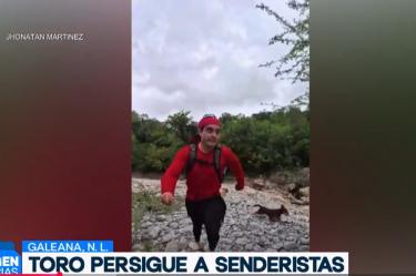 Persiguen a senderista.