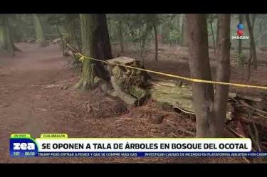 Vecinos de la alcaldía Cuajimalpa exigen detener la tala del Bosque del Ocotal al sur de la #CDMX.
#LoDijoZea #NoticiasImagen #ImagenNoticias
Visita nuestro sitio web: http://www.imagentv.com
No te pierdas Imagen Noticias con Francisco Zea de lunes a viernes en punto de las 6:30 am por Imagen Televisión.
TikTok: https://www.tiktok.com/@imagennoticias
Instagram Imagen Noticias con Francisco Zea: https://www.instagram.com/imagenzea
Instagram: https://www.instagram.com/imagentvnoticias/
X Imagen Noticias con Francisco Zea: https://x.com/imagenZea
X Noticias: https://twitter.com/ImagenNoticias_
X Televisión: https://twitter.com/ImagenTVMex
Facebook Imagen Noticias con Francisco Zea: https://www.facebook.com/ImagenZea/
Facebook: https://www.facebook.com/ImagenTVNoticias
Aquí encontrarás la mejor información nacional e internacional de Imagen Noticias con Francisco Zea, Nacho Lozano, Crystal Mendivil, Enrique Sánchez y Paola Rojas.