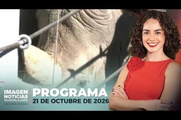 No te pierdas Imagen Noticias Guadalajara con Carolina Martínez de lunes a viernes en punto de las 2:30 p.m. en el 3.1 por Imagen Televisión Guadalajara.
#NoticiasImagen
Síguenos en nuestras redes:
Instagram: https://www.instagram.com/imagentvgdl/
TikTok: https://www.tiktok.com/@imagennoticias
Twitter: https://twitter.com/ImagenTVGDL
Facebook: https://www.facebook.com/ImagenTVGDL/
Visita nuestro sitio Web: https://www.imagentv.com/guadalajara
Mantente siempre informado con las noticias sobre los acontecimientos más importantes a nivel nacional con Erick Breguer, Carolina Martínez y Ricardo Camarena.
¡Déjanos tus comentarios, da like, comparte y suscríbete!