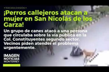 Una feroz jauría atacó a una mujer en San Nicolás de los Garza. 

No te pierdas Imagen Noticias #Monterrey con #BrisseidaMoya de lunes a viernes por Imagen Televisión Monterrey.

Síguenos en nuestras redes
Instagram: https://www.instagram.com/imagentvmonterrey/
Twitter: https://twitter.com/ImagenTVMTY
Facebook: https://www.facebook.com/ImagenTVMTY/

Mantente siempre informado con las noticias sobre los acontecimientos más importantes a nivel nacional con Claudia Ovalle y Brenda Cavazos.


¡Dale like y suscríbete!