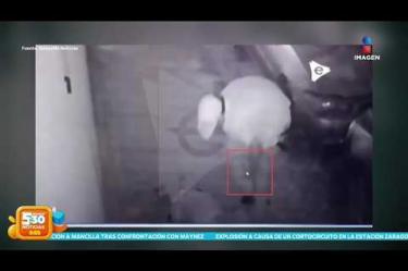 Un adulto mayor de 73 años fue golpeado con una piedra durante un asalto en #Matamoros, #Tamaulipas, el presunto agresor ya fue identificado, pero sigue prófugo.
#NoticiasImagen #ImagenNoticias530 Visita nuestro sitio web: http://www.imagentv.com
No te pierdas Imagen Noticias 5:30 con Marlene Stahl, Nuria Gil y Adriana Treviño de lunes a viernes por Imagen Televisión.
TikTok 5:30: https://www.tiktok.com/@imagennoticias530
TikTok Noticias: https://www.tiktok.com/@imagennoticias
Instagram 5:30: https://www.instagram.com/imagennoticias530
Instagram Noticias: https://www.instagram.com/imagentvnoticias/
X 5:30: https://x.com/imagen530
X Noticias: https://twitter.com/ImagenNoticias_
X Televisión: https://twitter.com/ImagenTVMex
Facebook Noticias: https://www.facebook.com/ImagenTVNoticias
Aquí encontrarás la mejor información nacional e internacional de Imagen Noticias con Francisco Zea, Nacho Lozano, Crystal Mendivil, Enrique Sánchez y Paola Rojas.