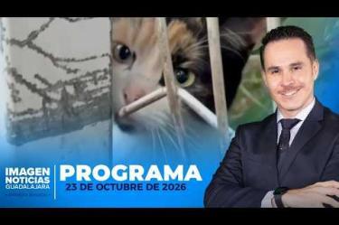 No te pierdas Imagen Noticias Guadalajara con Carolina Martínez de lunes a viernes en punto de las 2:30 p.m. en el 3.1 por Imagen Televisión Guadalajara.

#NoticiasImagen

Síguenos en nuestras redes:
Instagram: https://www.instagram.com/imagentvgdl/
TikTok: https://www.tiktok.com/@imagennoticias
Twitter: https://twitter.com/ImagenTVGDL
Facebook: https://www.facebook.com/ImagenTVGDL/

Visita nuestro sitio Web: https://www.imagentv.com/guadalajara

Mantente siempre informado con las noticias sobre los acontecimientos más importantes a nivel nacional con Erick Breguer, Carolina Martínez y Ricardo Camarena.

¡Déjanos tus comentarios, da like, comparte y suscríbete!