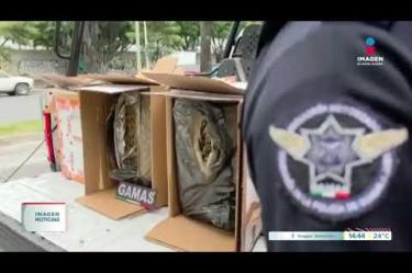Oficiales del escuadrón motorizado Gamas de la Policía de #Guadalajara detuvieron a un hombre de 28 años identificado como José "N", luego de asegurarle aproximadamente 90 kilogramos de presunto cannabis en la Col. La Aurora.
#NoticiasImagen
Síguenos en nuestras redes:
Instagram: https://www.instagram.com/imagentvgdl/
TikTok: https://www.tiktok.com/@imagennoticias
Twitter: https://twitter.com/ImagenTVGDL
Facebook: https://www.facebook.com/ImagenTVGDL/
Visita nuestro sitio Web: https://www.imagentv.com/guadalajara
Mantente siempre informado con las noticias sobre los acontecimientos más importantes a nivel nacional con Carolina Martínez.
¡Déjanos tus comentarios, da like, comparte y suscríbete!