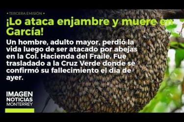 Un enjambre atacó y mató a un hombre en García.
No te pierdas Imagen Noticias #Monterrey con #BrisseidaMoya de lunes a viernes por Imagen Televisión Monterrey.
Síguenos en nuestras redes
Instagram: https://www.instagram.com/imagentvmonterrey/
Twitter: https://twitter.com/ImagenTVMTY
Facebook: https://www.facebook.com/ImagenTVMTY/
Mantente siempre informado con las noticias sobre los acontecimientos más importantes a nivel nacional con Claudia Ovalle y Brenda Cavazos.
¡Dale like y suscríbete!
