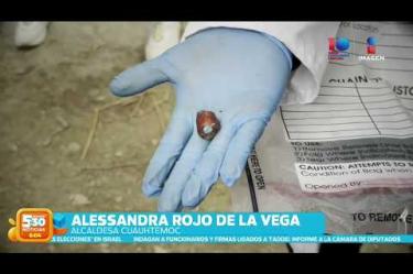Al menos cinco perros sufrieron envenenamiento el martes tras ingerir una de estas pastillas color azul dentro de pedazos de embutido en Parque España de la Col. Condesa, tres de ellos fallecieron el mismo día y dos más siguen internados en un hospital veterinario.
#NoticiasImagen #ImagenNoticias530
Visita nuestro sitio web: http://www.imagentv.com
No te pierdas Imagen Noticias 5:30 con Marlene Stahl, Nuria Gil y Adriana Treviño de lunes a viernes por Imagen Televisión.
TikTok 5:30: https://www.tiktok.com/@imagennoticias530
TikTok Noticias: https://www.tiktok.com/@imagennoticias
Instagram 5:30: https://www.instagram.com/imagennoticias530
Instagram Noticias: https://www.instagram.com/imagentvnoticias/
X 5:30: https://x.com/imagen530
X Noticias: https://twitter.com/ImagenNoticias_
X Televisión: https://twitter.com/ImagenTVMex
Facebook Noticias: https://www.facebook.com/ImagenTVNoticias
Aquí encontrarás la mejor información nacional e internacional de Imagen Noticias con Francisco Zea, Nacho Lozano, Crystal Mendivil, Enrique Sánchez y Paola Rojas.