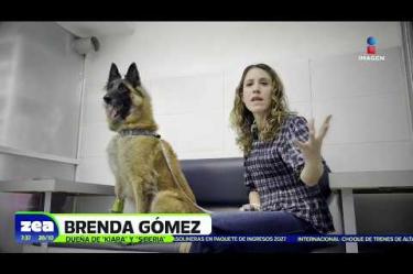Al menos cinco perros resultaron envenenados tras ingerir alimentos contaminados localizados en el #ParqueEspaña de la colonia Condesa en la alcaldía Cuauhtémoc, #CDMX. Autoridades ya investigan el caso, mientras que vecinos exigen justicia para los lomitos envenenados.
#LoDijoZea #NoticiasImagen #ImagenNoticias
Visita nuestro sitio web: http://www.imagentv.com
No te pierdas Imagen Noticias con Francisco Zea de lunes a viernes en punto de las 6:30 am por Imagen Televisión.
TikTok: https://www.tiktok.com/@imagennoticias
Instagram Imagen Noticias con Francisco Zea: https://www.instagram.com/imagenzea
Instagram: https://www.instagram.com/imagentvnoticias/
X Imagen Noticias con Francisco Zea: https://x.com/imagenZea
X Noticias: https://twitter.com/ImagenNoticias_
X Televisión: https://twitter.com/ImagenTVMex
Facebook Imagen Noticias con Francisco Zea: https://www.facebook.com/ImagenZea/
Facebook: https://www.facebook.com/ImagenTVNoticias
Aquí encontrarás la mejor información nacional e internacional de Imagen Noticias con Francisco Zea, Nacho Lozano, Crystal Mendivil, Enrique Sánchez y Paola Rojas.