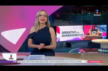 Hallan más comida envenenada cerca del Parque España, en CDMX. La Fiscalía confirmó metomilo en perros muertos; buscan a los responsables.